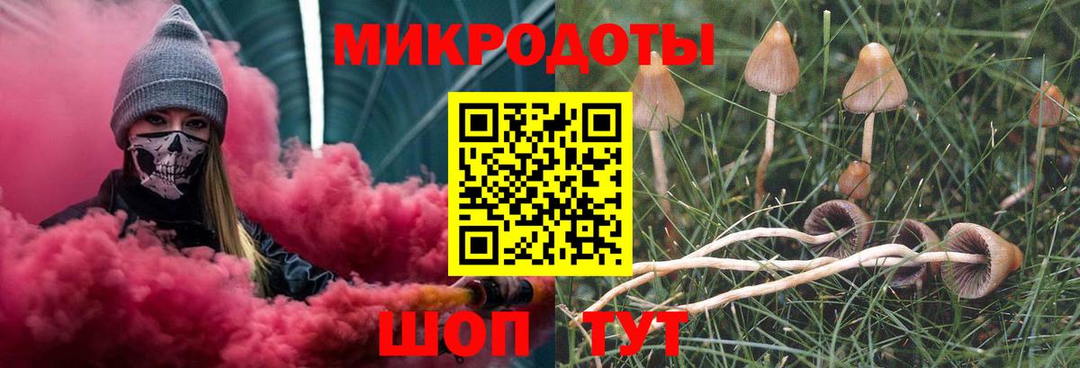 Кемерово  Галлюциногенные грибы мицелий  Вход с VPN 